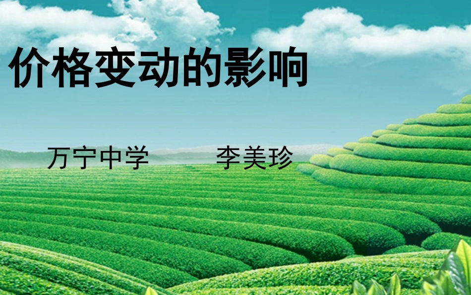 万宁中学李美珍价格变动的影响_第2页