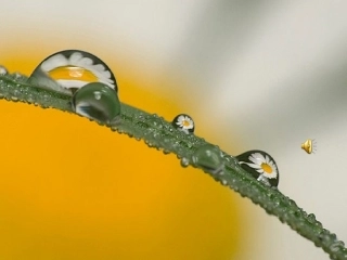人教版小学语文二年级《雷雨》PPT课件 (2)