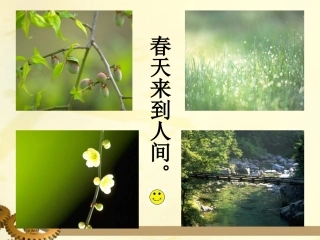 五年级语文上册大自然的语言6（2）课件语文S版