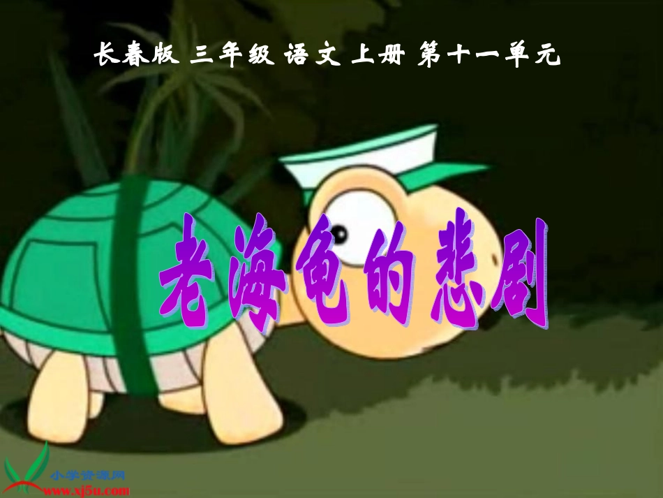 课件-3上-112-《老海龟的悲剧》(哲哲__975040657)_第1页