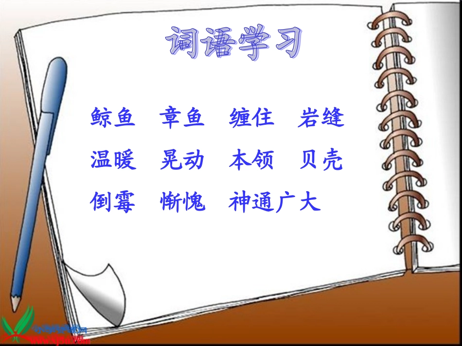 课件-3上-112-《老海龟的悲剧》(哲哲__975040657)_第2页
