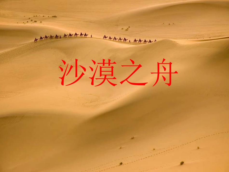 沙漠之舟上课课件_第2页