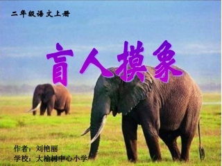 二年级语文上册盲人摸象