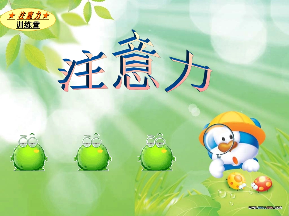 小学生注意力训练营_第2页