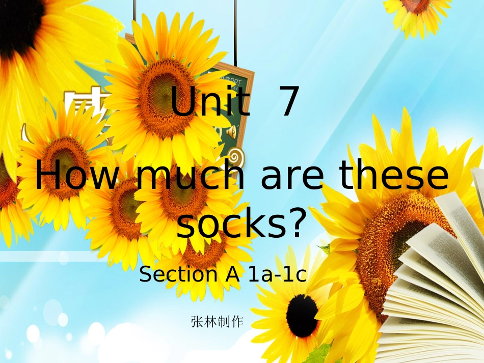 张林How_much_are_these_socks课件_第1页