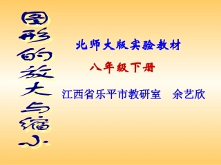 图形的放大与缩小 (6)