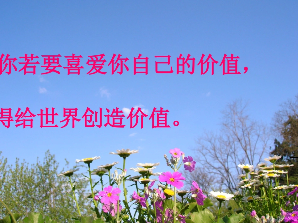 杨丽萍原创课件自己的花是让别人看的_第2页