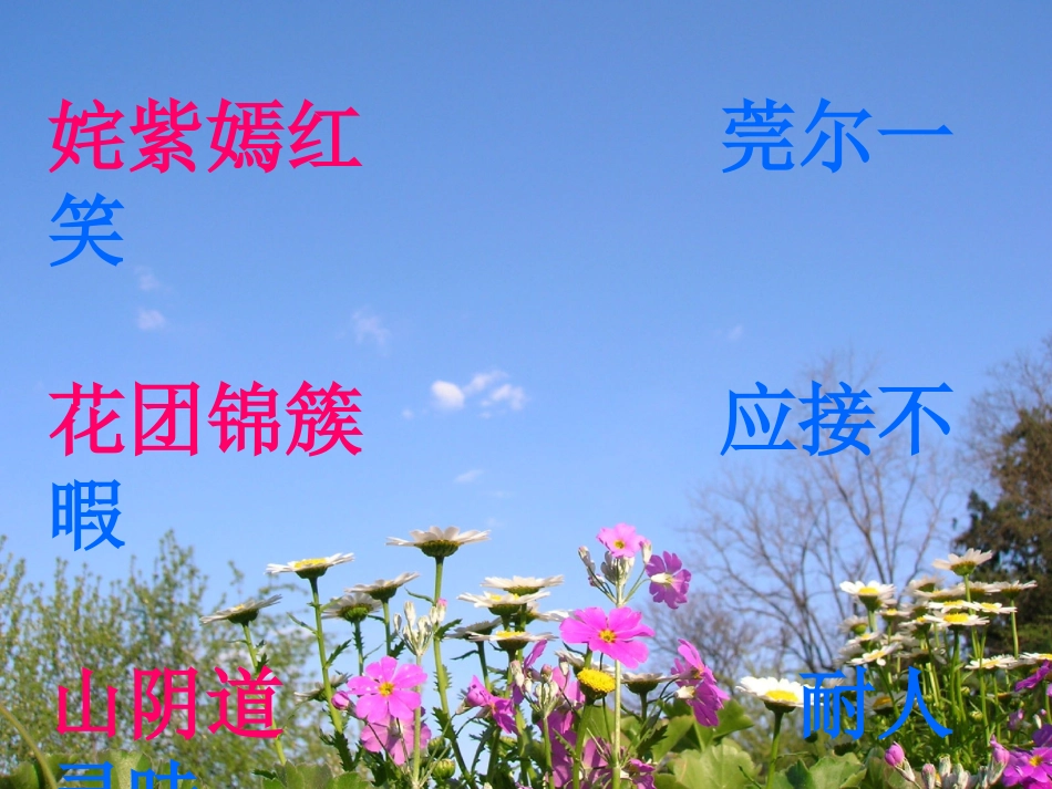 杨丽萍原创课件自己的花是让别人看的_第3页