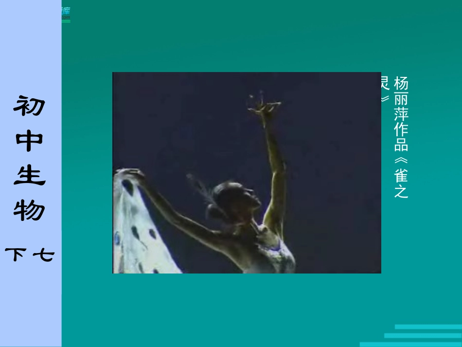 初中生物苏科版课件_第2页