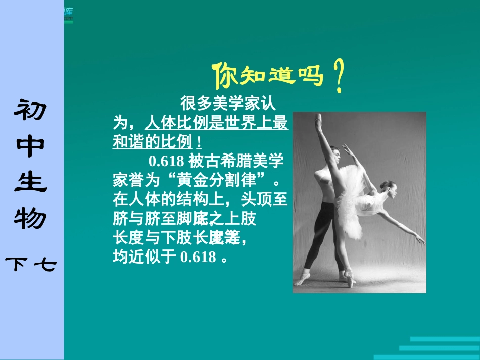 初中生物苏科版课件_第3页