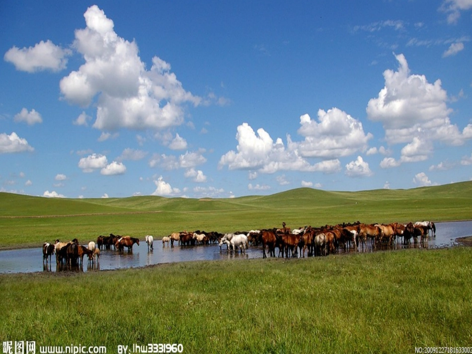 五年级语文上册第七组23难忘的一课第一课时课件_第3页