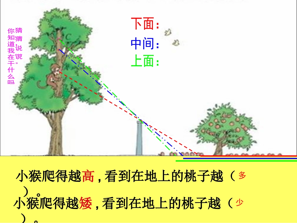 北师大版数学六年级上册《观察的范围》_第3页