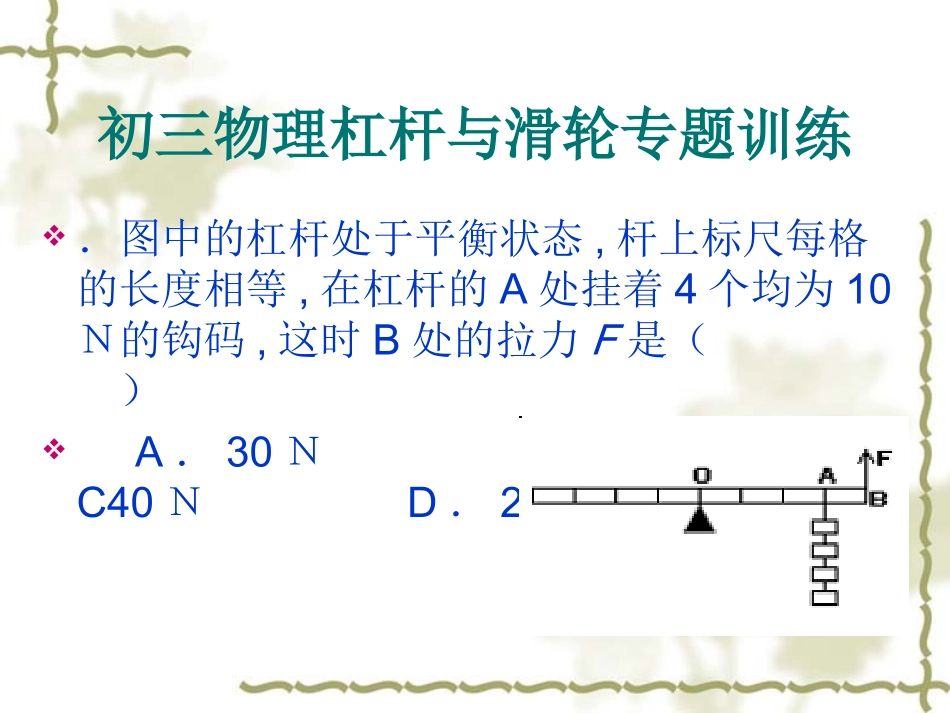 初三物理杠杆与滑轮专题训练_第1页