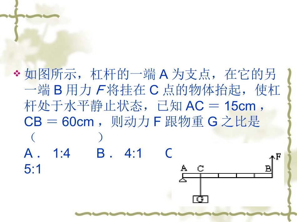 初三物理杠杆与滑轮专题训练_第2页