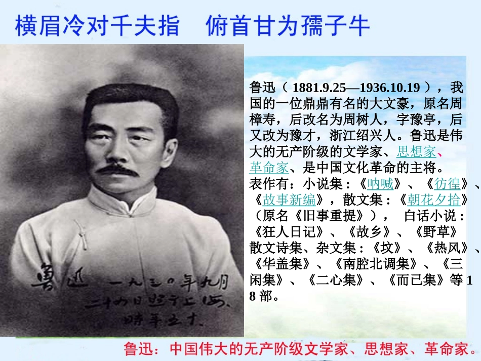 小教语文六年级上册20课《一面》课件_第2页