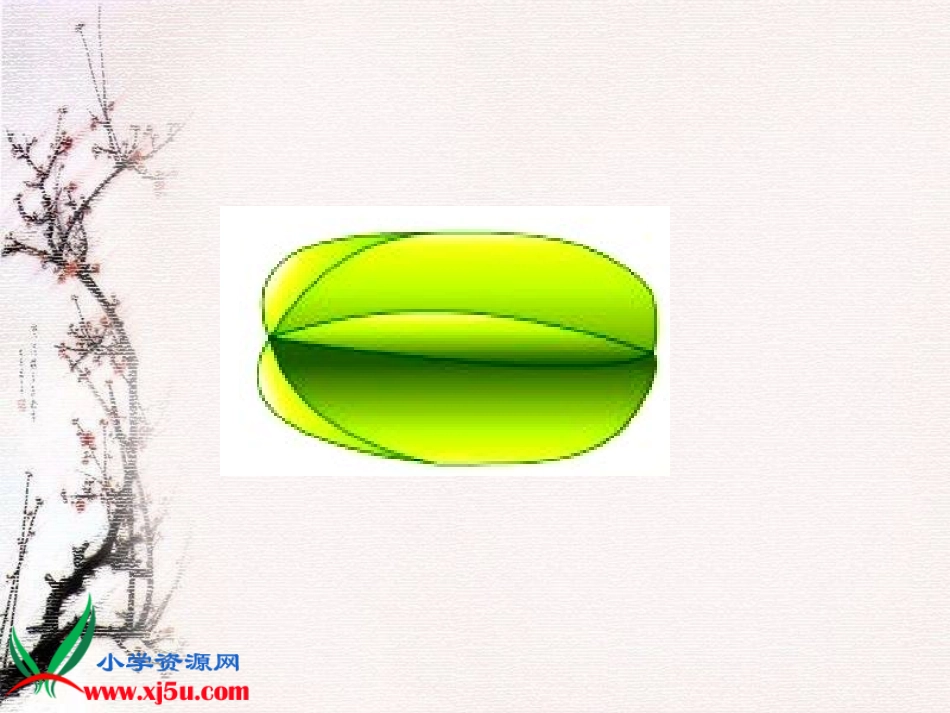 五年级数学上册观察物体课件_第3页