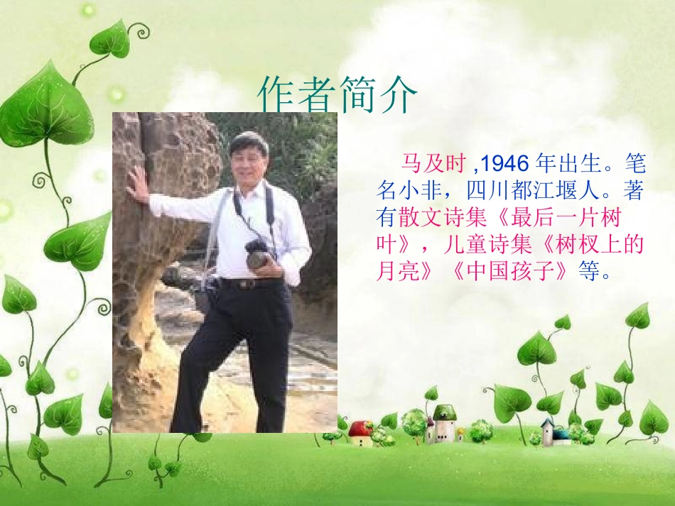 王几何课件(要用)_第2页