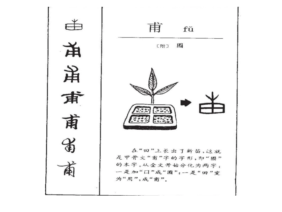 六年级下第2板块2、词语的变迁_第3页