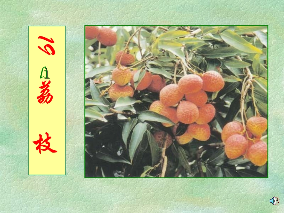 六年级语文上册《荔枝》_(2)_第1页