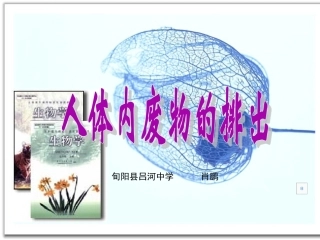 人教版第四单元第五章《人体内废物的排出》复习课件2
