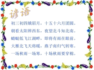 二年级上册识字五