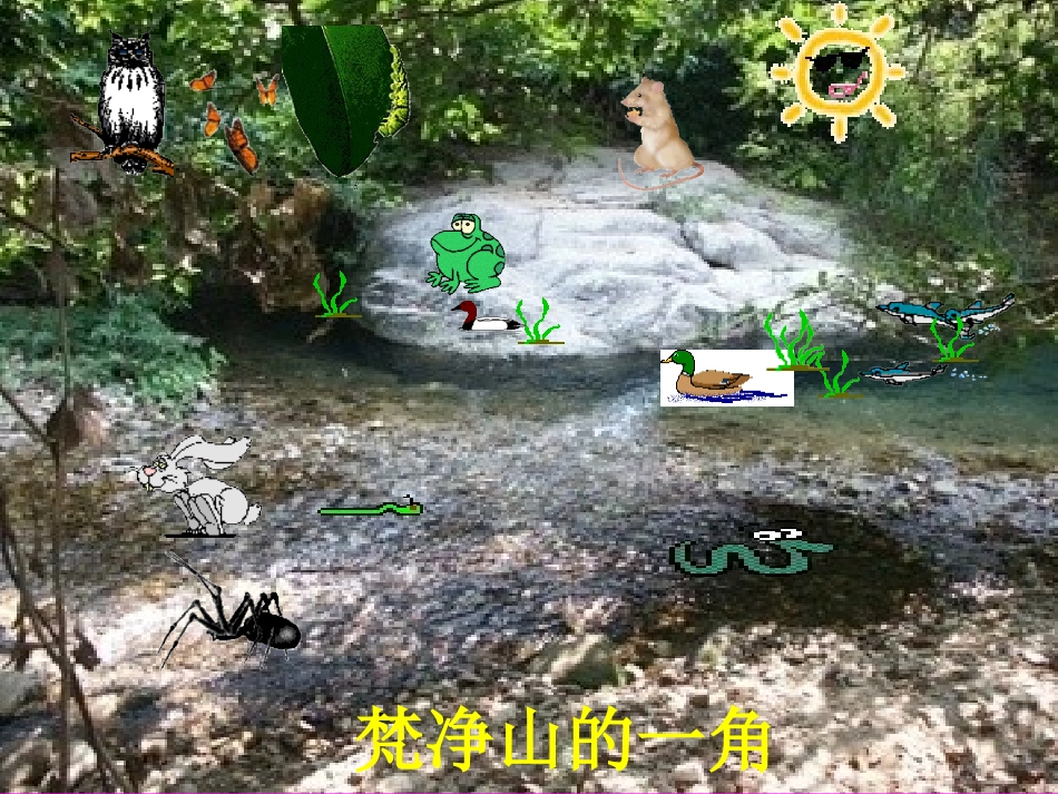贵州省万山区民族中学杨昌军课件_第1页