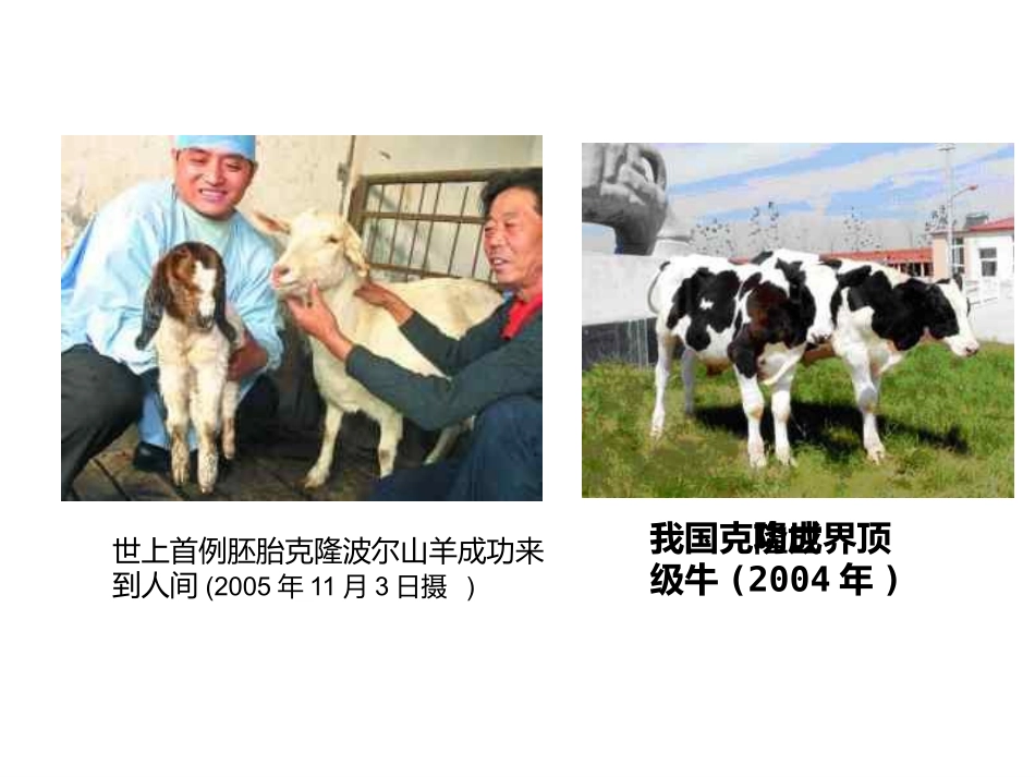 八年级语文17《奇妙的克隆》1课件人教版_第3页