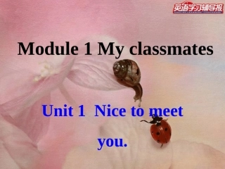 七年级上Module1Unit1课件