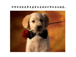 一张图一句话_诉说人生哲理ppsma13