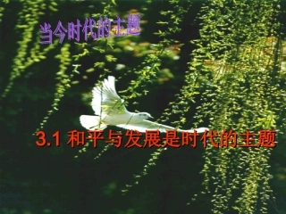 新和平发展__时代主题第一课时：和平与发展是时代的主题