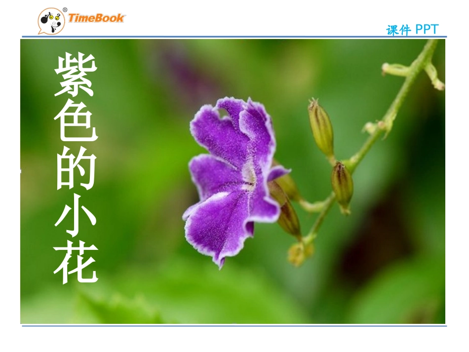 吉林版语文三年级下册《紫色的小花》 (3)_第1页