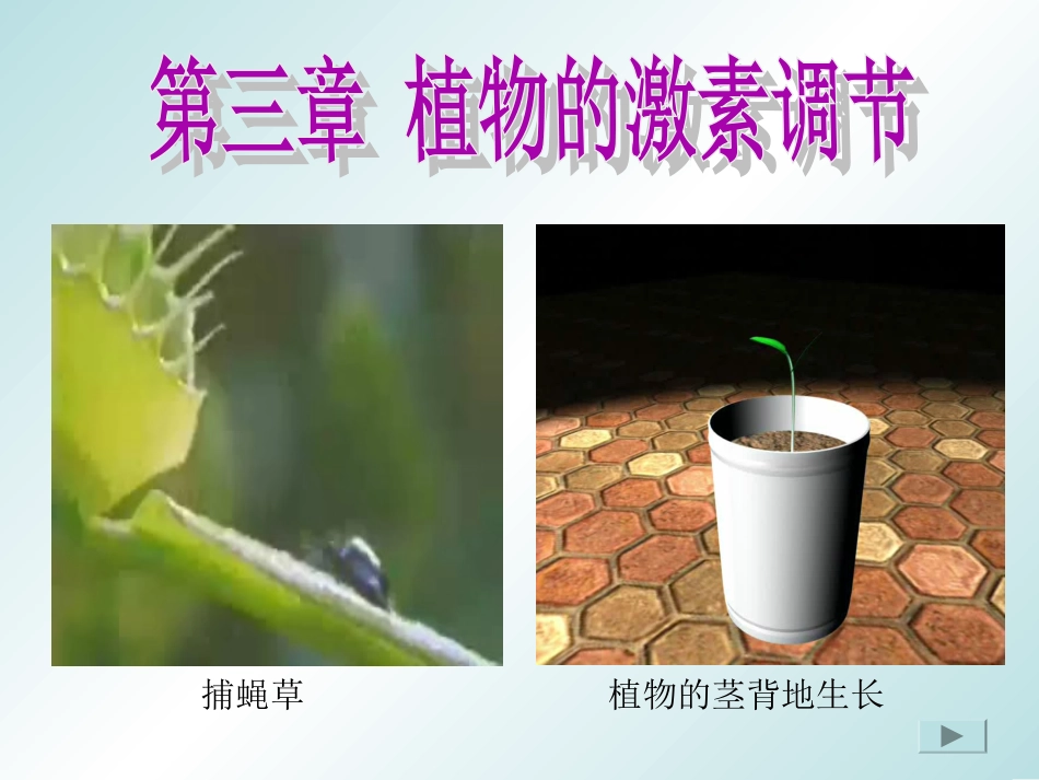 高中二年级生物必修3第3章植物的激素调节第1节植物生长素的发现第一课时课件_第1页