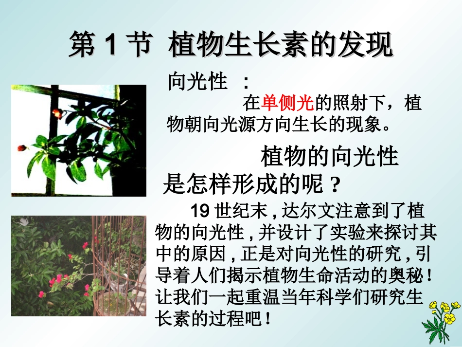 高中二年级生物必修3第3章植物的激素调节第1节植物生长素的发现第一课时课件_第2页