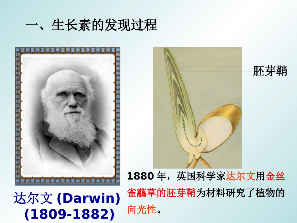 高中二年级生物必修3第3章植物的激素调节第1节植物生长素的发现第一课时课件_第3页