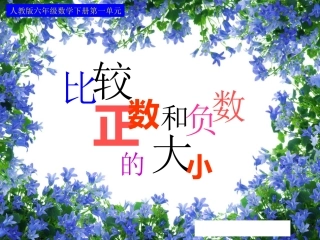 比较正数和负数的大小