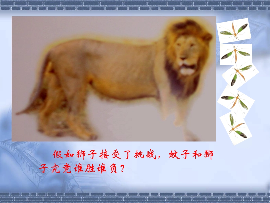 《蚊子和狮子》课件_第3页