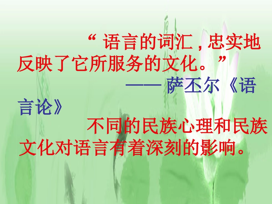 入乡随俗-语言与文化(田)_第3页