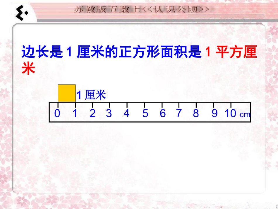 五数__认识公顷课件_韦娜_第2页