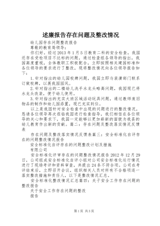 述廉报告存在问题及整改情况