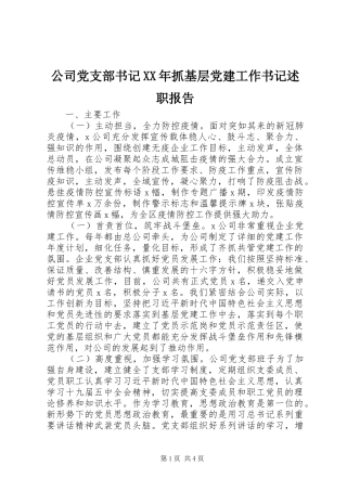公司党支部书记XX年抓基层党建工作书记述职报告