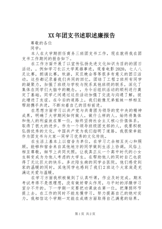 XX年团支书述职述廉报告