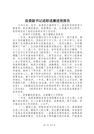 县委副书记述职述廉述效报告