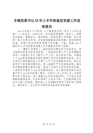乡镇党委书记XX年上半年抓基层党建工作述职报告