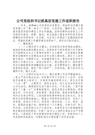 公司党组织书记抓基层党建工作述职报告