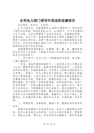 水利电力部门领导年度述职述廉报告