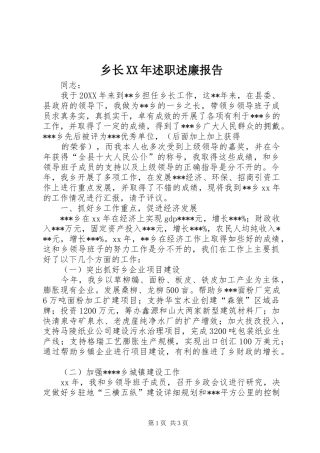 乡长XX年述职述廉报告