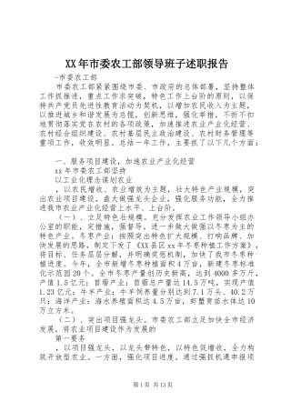 XX年市委农工部领导班子述职报告