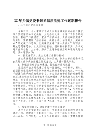 XX年乡镇党委书记抓基层党建工作述职报告