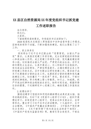 XX县区自然资源局XX年度党组织书记抓党建工作述职报告