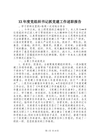 XX年度党组织书记抓党建工作述职报告